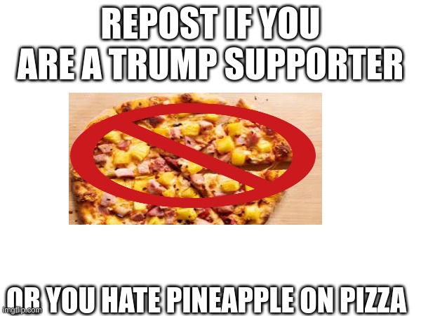 yes | REPOST IF YOU ARE A TRUMP SUPPORTER; OR YOU HATE PINEAPPLE ON PIZZA | image tagged in repost | made w/ Imgflip meme maker