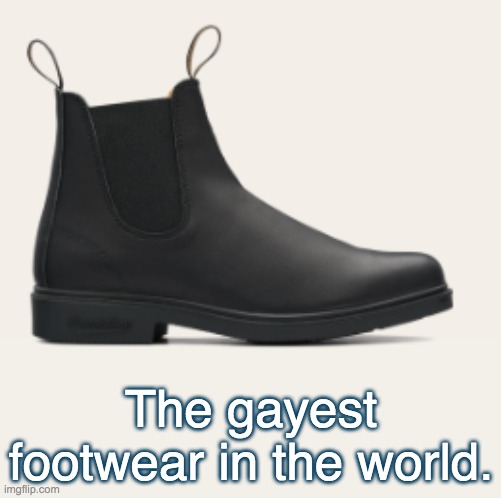 The gayest footwear in the world. | made w/ Imgflip meme maker