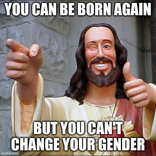 gender | YOU CAN BE BORN AGAIN; BUT YOU CAN'T CHANGE YOUR GENDER | image tagged in memes,buddy christ | made w/ Imgflip meme maker