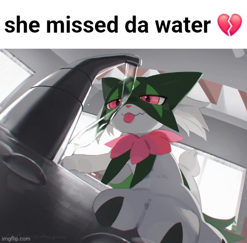 why didn't meowscarada eat the water? is she stupid? | she missed da water 💔 | made w/ Imgflip meme maker