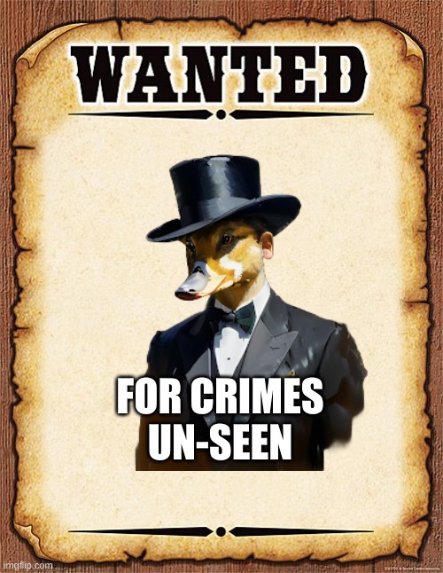 crimes un-seen | FOR CRIMES UN-SEEN | image tagged in wanted poster | made w/ Imgflip meme maker