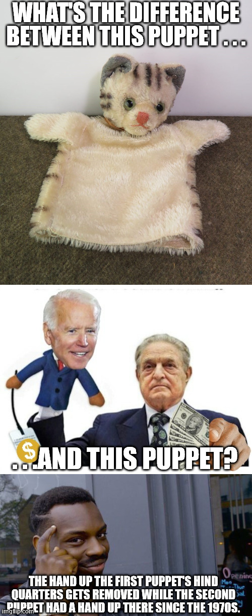 Sure does explains some of Biden's issues with certain bodily functions. | WHAT'S THE DIFFERENCE BETWEEN THIS PUPPET . . . . . .AND THIS PUPPET? THE HAND UP THE FIRST PUPPET'S HIND QUARTERS GETS REMOVED WHILE THE SECOND PUPPET HAD A HAND UP THERE SINCE THE 1970S. | image tagged in cat kitten hand sock puppet,soros puppet joe biden,memes,roll safe think about it,politics | made w/ Imgflip meme maker