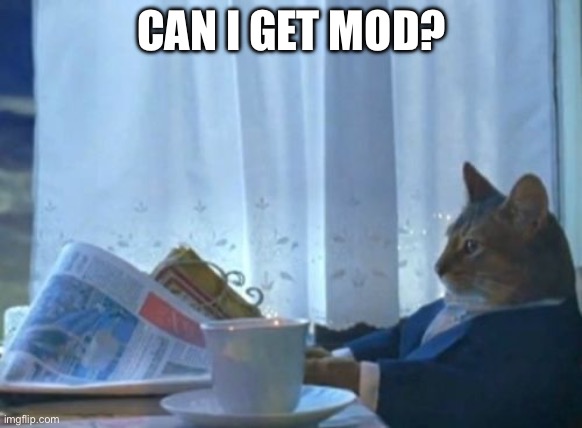 I Should Buy A Boat Cat Meme | CAN I GET MOD? | image tagged in memes,i should buy a boat cat | made w/ Imgflip meme maker
