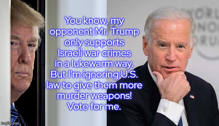 Josh Paul has resigned from the State Department & is now warning of the excesses of the Biden administration. | You know, my
opponent Mr. Trump
only supports
Israeli war crimes
in a lukewarm way.
But I'm ignoring U.S.
law to give them more
murder weapons!
Vote for me. | image tagged in biden trump,palestine,genocide,human rights,military industrial complex | made w/ Imgflip meme maker