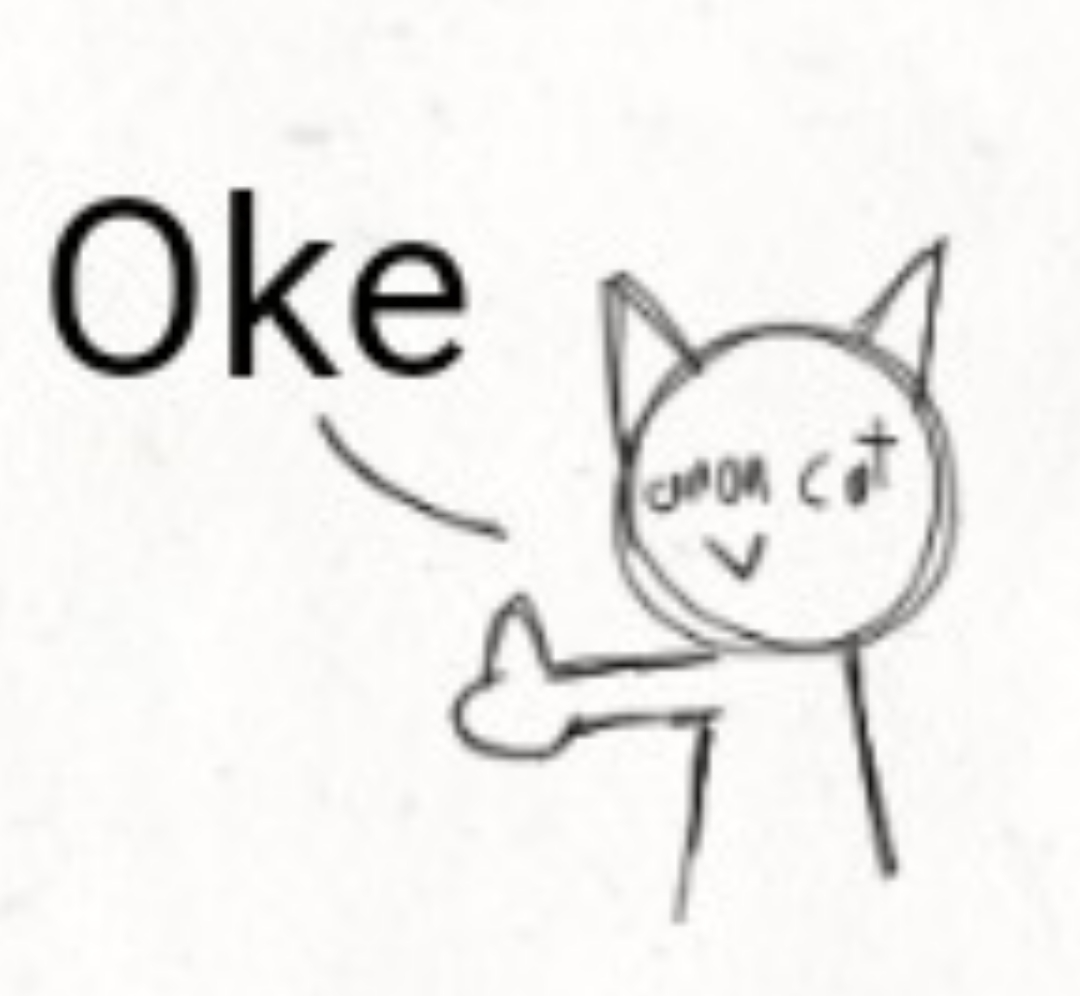 Smol anon cat oke Blank Meme Template