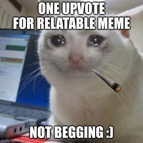 mudjdd | ONE UPVOTE FOR RELATABLE MEME; NOT BEGGING :) | image tagged in crying cat | made w/ Imgflip meme maker