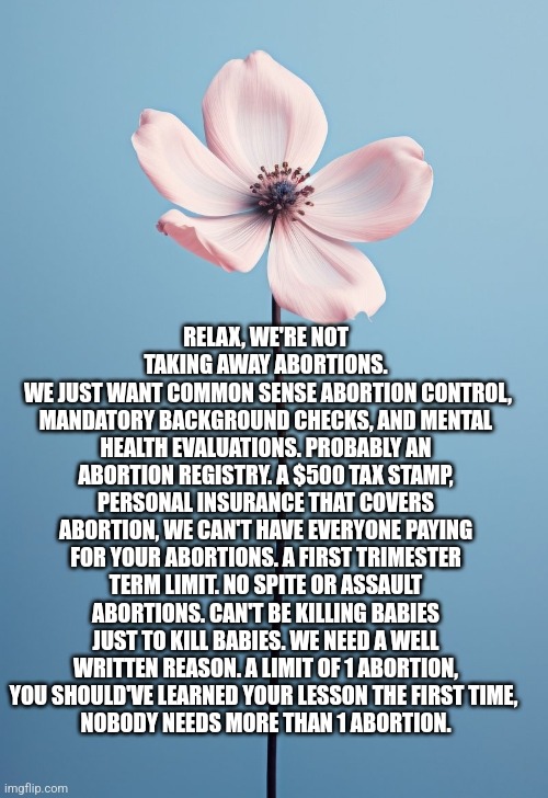RELAX, WE'RE NOT TAKING AWAY ABORTIONS.
 WE JUST WANT COMMON SENSE ABORTION CONTROL, MANDATORY BACKGROUND CHECKS, AND MENTAL HEALTH EVALUATIONS. PROBABLY AN ABORTION REGISTRY. A $500 TAX STAMP, PERSONAL INSURANCE THAT COVERS ABORTION, WE CAN'T HAVE EVERYONE PAYING FOR YOUR ABORTIONS. A FIRST TRIMESTER TERM LIMIT. NO SPITE OR ASSAULT ABORTIONS. CAN'T BE KILLING BABIES JUST TO KILL BABIES. WE NEED A WELL WRITTEN REASON. A LIMIT OF 1 ABORTION, YOU SHOULD'VE LEARNED YOUR LESSON THE FIRST TIME, 
NOBODY NEEDS MORE THAN 1 ABORTION. | image tagged in funny memes | made w/ Imgflip meme maker