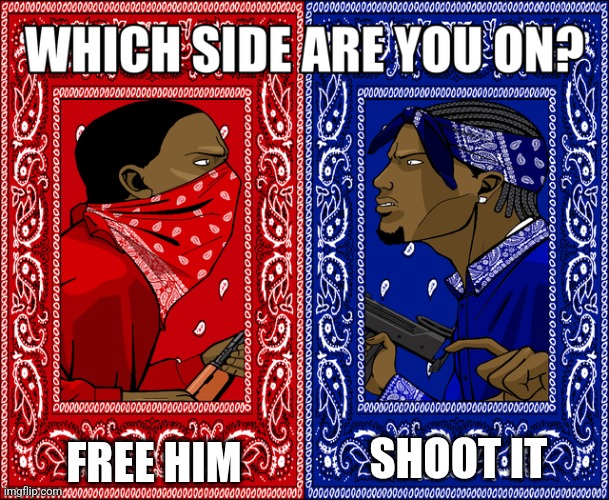 WHICH SIDE ARE YOU ON? | FREE HIM SHOOT IT | image tagged in which side are you on | made w/ Imgflip meme maker