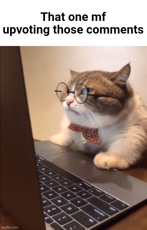 research cat | That one mf upvoting those comments | image tagged in research cat | made w/ Imgflip meme maker