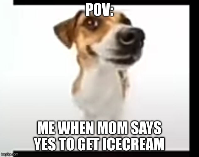 wenomechainsama dog | POV:; ME WHEN MOM SAYS YES TO GET ICECREAM | image tagged in wenomechainsama dog | made w/ Imgflip meme maker