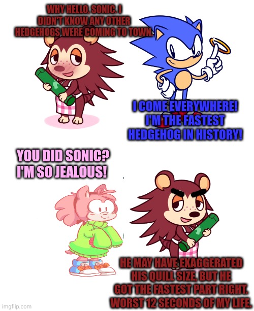 Hedgehog lore | WHY HELLO, SONIC. I DIDN'T KNOW ANY OTHER HEDGEHOGS WERE COMING TO TOWN. I COME EVERYWHERE! I'M THE FASTEST HEDGEHOG IN HISTORY! YOU DID SON | image tagged in sonic the hedgehog,visits,animal crossing,stop it get some help,fastest thing on earth,mabel able | made w/ Imgflip meme maker