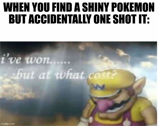 Don't you hate it when you accidentally one shot a shiny? | WHEN YOU FIND A SHINY POKEMON BUT ACCIDENTALLY ONE SHOT IT: | image tagged in i won but at what cost,pokemon | made w/ Imgflip meme maker