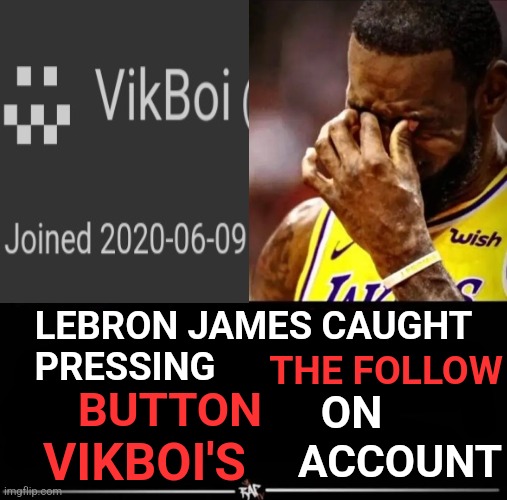 did he go too far? | LEBRON JAMES CAUGHT; THE FOLLOW; PRESSING; BUTTON; ON; VIKBOI'S; ACCOUNT | made w/ Imgflip meme maker
