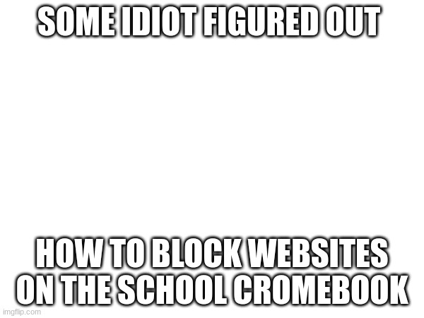 idiot | SOME IDIOT FIGURED OUT; HOW TO BLOCK WEBSITES ON THE SCHOOL CROMEBOOK | image tagged in annoying people | made w/ Imgflip meme maker