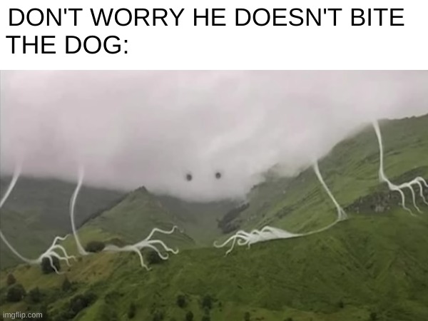 he is friendly | DON'T WORRY HE DOESN'T BITE; THE DOG: | image tagged in memes,dog | made w/ Imgflip meme maker