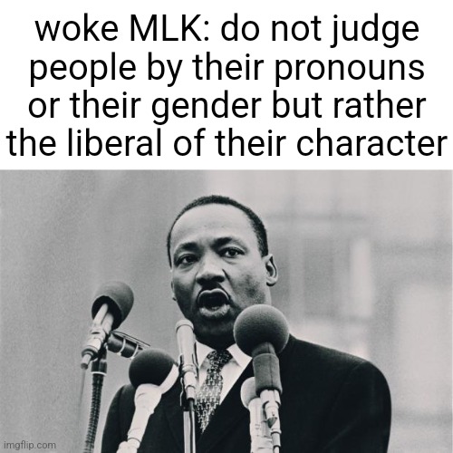 idk man | woke MLK: do not judge people by their pronouns or their gender but rather the liberal of their character | image tagged in mlk jr i have a dream | made w/ Imgflip meme maker