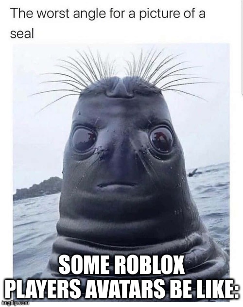 true | SOME ROBLOX PLAYERS AVATARS BE LIKE: | image tagged in funny,memes,roblox,seal | made w/ Imgflip meme maker
