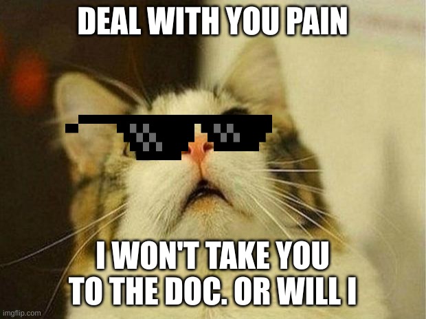 Scared Cat | DEAL WITH YOU PAIN; I WON'T TAKE YOU TO THE DOC. OR WILL I | image tagged in memes,scared cat | made w/ Imgflip meme maker