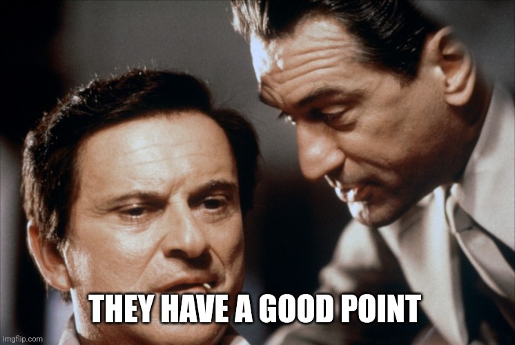 Pesci and De Niro Goodfellas | THEY HAVE A GOOD POINT | image tagged in pesci and de niro goodfellas | made w/ Imgflip meme maker