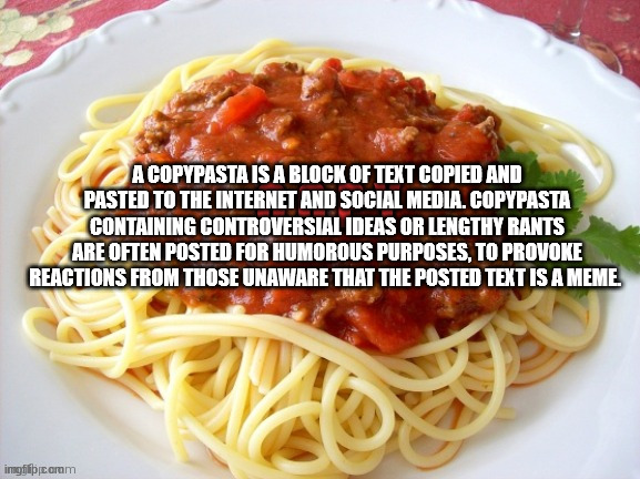 Copypasta | A COPYPASTA IS A BLOCK OF TEXT COPIED AND PASTED TO THE INTERNET AND SOCIAL MEDIA. COPYPASTA CONTAINING CONTROVERSIAL IDEAS OR LENGTHY RANTS ARE OFTEN POSTED FOR HUMOROUS PURPOSES, TO PROVOKE REACTIONS FROM THOSE UNAWARE THAT THE POSTED TEXT IS A MEME. | image tagged in copypasta,copypasta meme | made w/ Imgflip meme maker