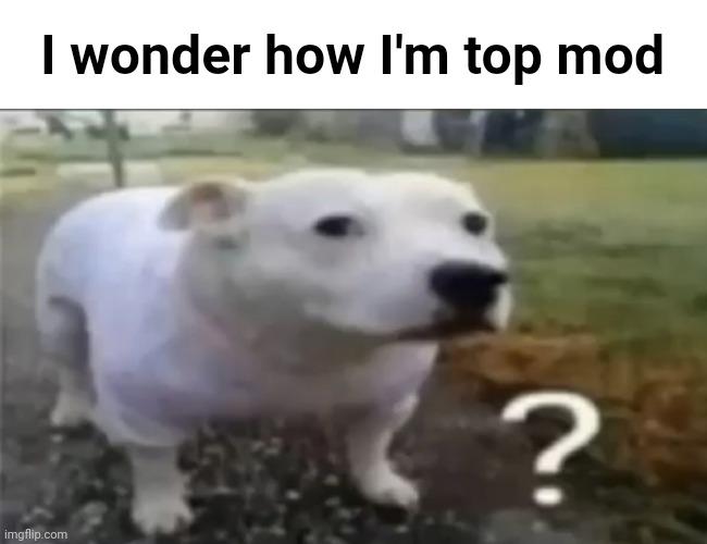 Like fr | I wonder how I'm top mod | made w/ Imgflip meme maker