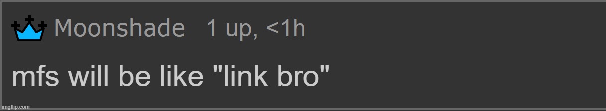 Moonshade "Mfs will be like link bro" | image tagged in moonshade mfs will be like link bro | made w/ Imgflip meme maker