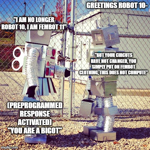 when you put it like that.. it really does seem crazy don't it.. | GREETINGS ROBOT 10-; "I AM NO LONGER ROBOT 10, I AM FEMBOT 11"; "BUT YOUR CIRCUTS HAVE NOT CHANGED, YOU SIMPLY PUT ON FEMBOT CLOTHING, THIS DOES NOT COMPUTE"; (PREPROGRAMMED RESPONSE ACTIVATED) "YOU ARE A BIGOT" | image tagged in stupid liberals,funny memes,political meme,political humor,funny meme | made w/ Imgflip meme maker