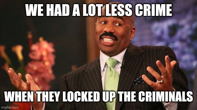 Steve Harvey Meme | WE HAD A LOT LESS CRIME WHEN THEY LOCKED UP THE CRIMINALS | image tagged in memes,steve harvey | made w/ Imgflip meme maker