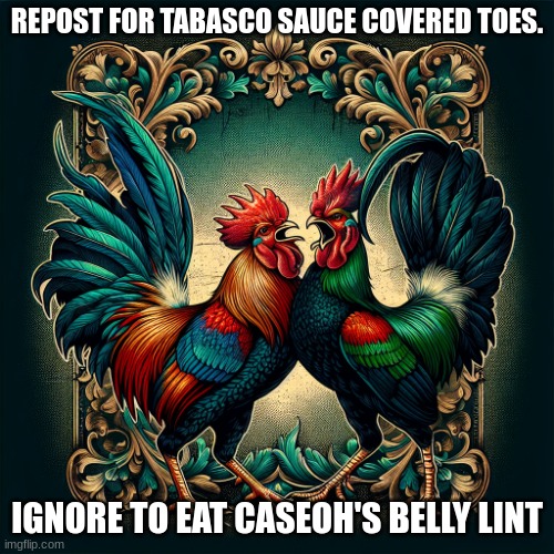 Cockfight | REPOST FOR TABASCO SAUCE COVERED TOES. IGNORE TO EAT CASEOH'S BELLY LINT | image tagged in cockfight | made w/ Imgflip meme maker