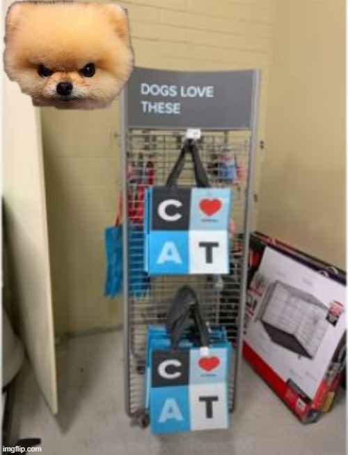 Dogs Love Them Huh | image tagged in you had one job | made w/ Imgflip meme maker