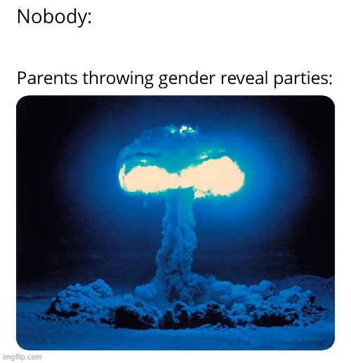 "Its a Boy!" | image tagged in memes,funny,gender reveal,lol,relatable | made w/ Imgflip meme maker