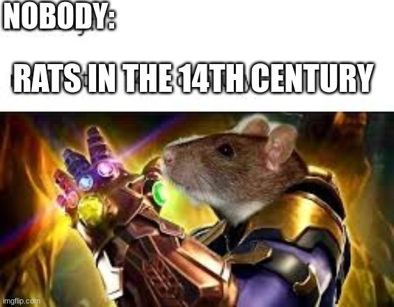 Bubonic Plague meme | NOBODY:; RATS IN THE 14TH CENTURY | image tagged in plague,history memes | made w/ Imgflip meme maker