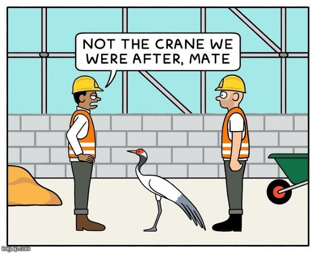 Crane | image tagged in comics | made w/ Imgflip meme maker