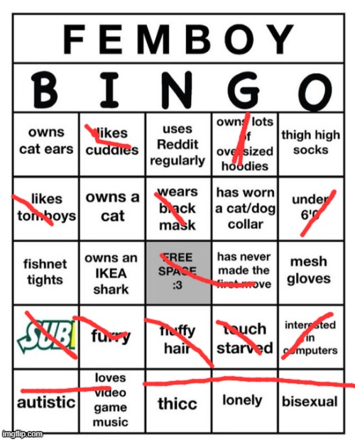 Femboy Bingo | image tagged in femboy bingo | made w/ Imgflip meme maker