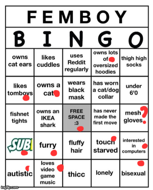 Femboy Bingo | image tagged in femboy bingo | made w/ Imgflip meme maker