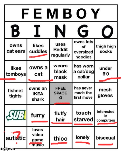 Femboy Bingo | image tagged in femboy bingo | made w/ Imgflip meme maker