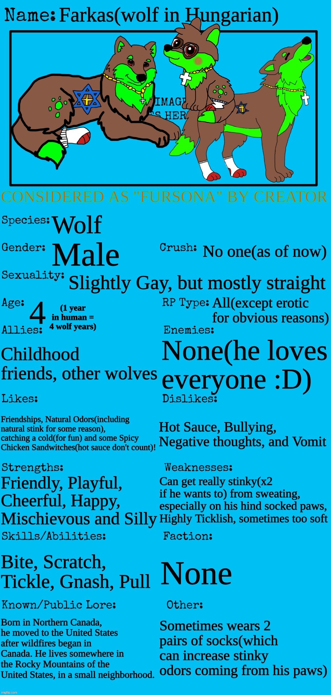 Farkas Fursona Bio | image tagged in farkas fursona bio | made w/ Imgflip meme maker