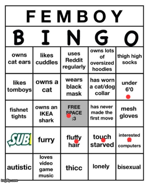 Femboy Bingo | image tagged in femboy bingo | made w/ Imgflip meme maker