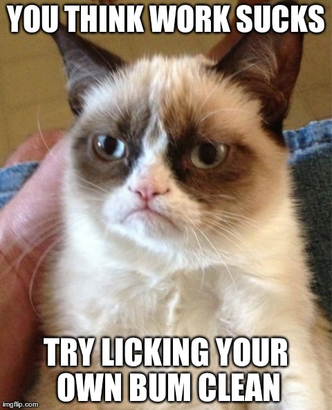GRUMPY GROOMER | YOU THINK WORK SUCKS TRY LICKING YOUR OWN BUM CLEAN | image tagged in memes,grumpy cat | made w/ Imgflip meme maker