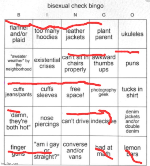 Bisexual Bingo | image tagged in bisexual bingo | made w/ Imgflip meme maker