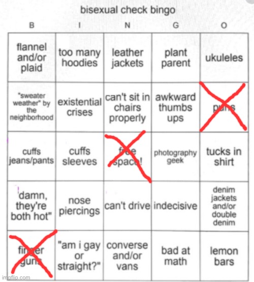 Bisexual Bingo | image tagged in bisexual bingo | made w/ Imgflip meme maker