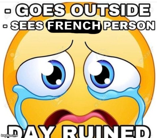 riplo | FRENCH | made w/ Imgflip meme maker