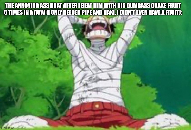 Yaur | THE ANNOYING ASS BRAT AFTER I BEAT HIM WITH HIS DUMBASS QUAKE FRUIT 6 TIMES IN A ROW (I ONLY NEEDED PIPE AND HAKI, I DIDN'T EVEN HAVE A FRUIT): | image tagged in i still have my friends | made w/ Imgflip meme maker