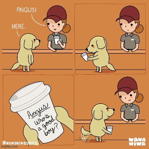 image tagged in dog,coffee,good boy | made w/ Imgflip meme maker