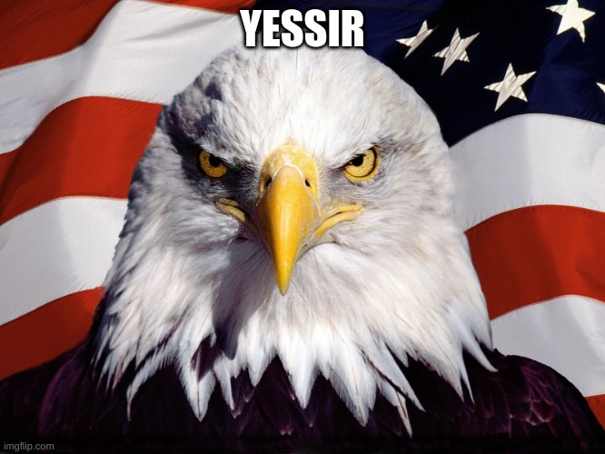 Freedom Eagle | YESSIR | image tagged in freedom eagle | made w/ Imgflip meme maker