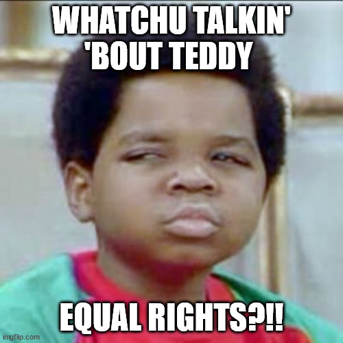Arnold Drummond | WHATCHU TALKIN' 'BOUT TEDDY; EQUAL RIGHTS?!! | image tagged in arnold drummond | made w/ Imgflip meme maker