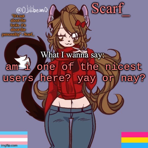Scarf_ Announcement Template | am i one of the nicest users here? yay or nay? | image tagged in scarf_ announcement template | made w/ Imgflip meme maker