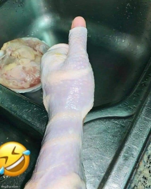 Chicken glove | made w/ Imgflip meme maker
