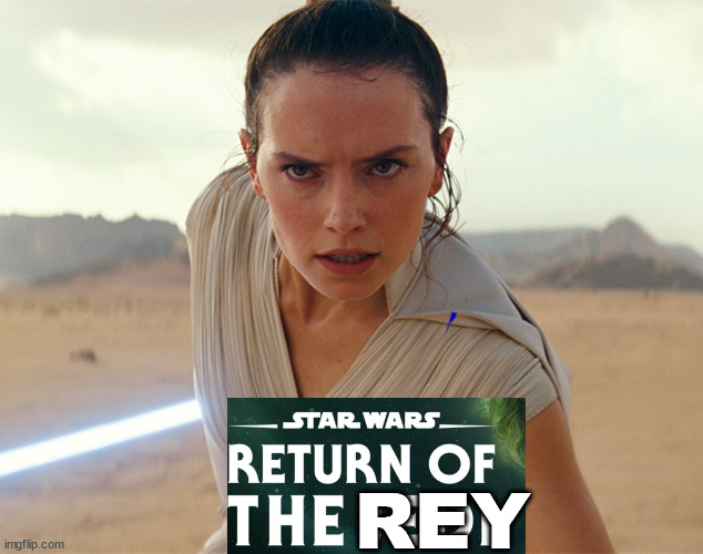 i hate rey | REY | image tagged in rey | made w/ Imgflip meme maker