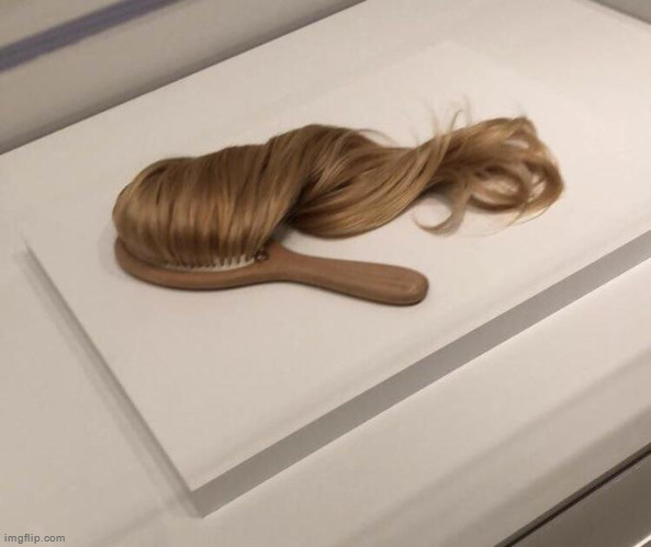Hairbrush | made w/ Imgflip meme maker